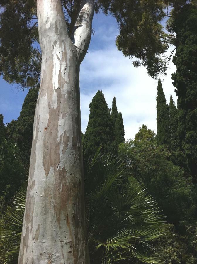 Dormiusa Bordighera Εξωτερικό φωτογραφία